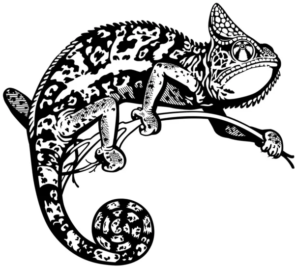Chameleon Tattoo Vector Art Stock Images Depositphotos