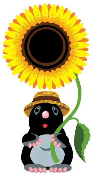 Mole bedrijf zonnebloem — Stockvector