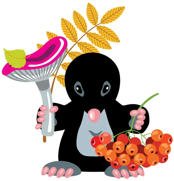 Mantar holding karikatür köstebek ve kül berry — Stok Vektör