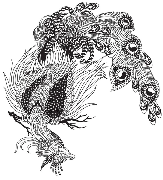 นกฟ นกว เศษฮวง งในส ฮวงจ องฟ ภาพเวกเตอร นขอบส าและส ขาว — ภาพเวกเตอร์สต็อก