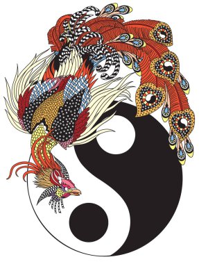 Çin anka kuşu ya da Feng Huang sihirli kuş ve yin yang armoni sembolü. Sihirli kuş, semavi feng shui hayvanlarından biridir. İzole vektör illüstrasyonu