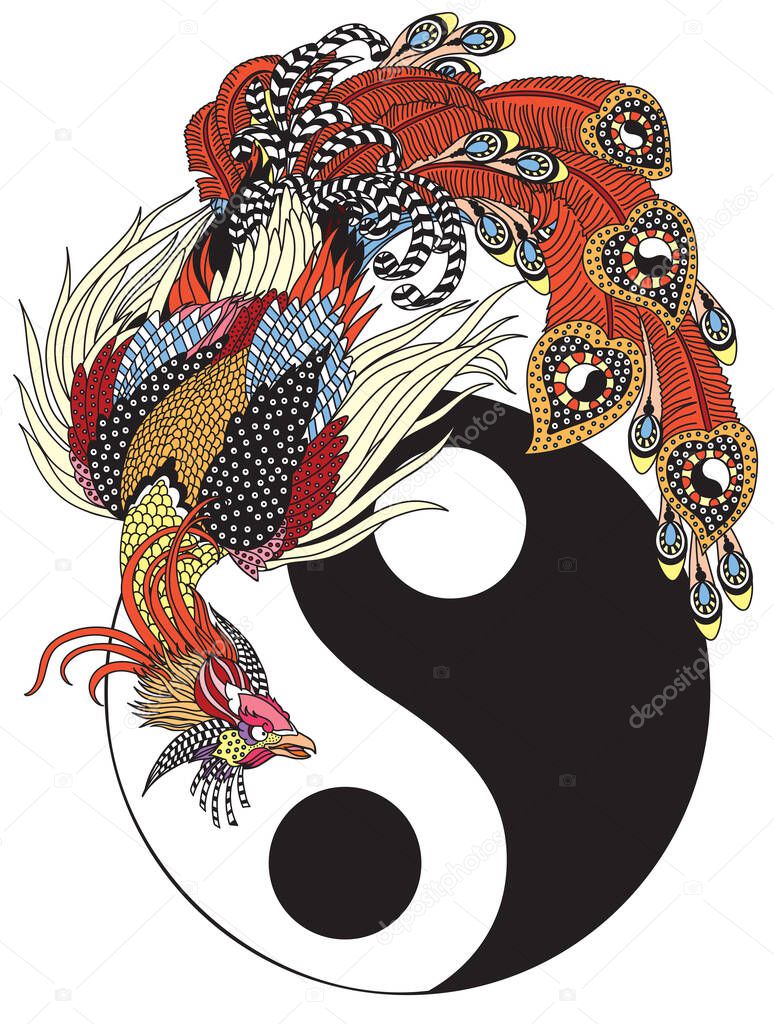 Chinese phoenix or Feng Huang magical bird and yin yang symbol of harmony. Magic bird is one of the celestial feng shui animals. Isolated vector illustration
