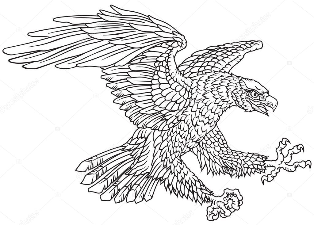 stylized eagle. Landing attacking prey bird. Outline graphic style vector illustration. Black and white tattoo