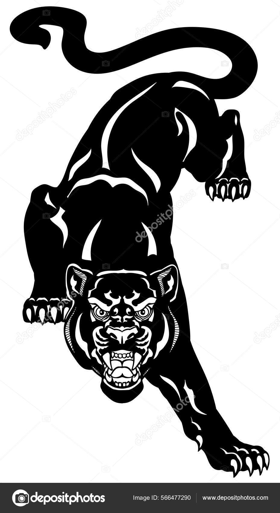 으르렁 거리는 표범은 똑바로 바라보며 아래로 기어올라 갑니다 공격적 화이트 스톡 벡터 - ©insima 566477290, image size:929x1700