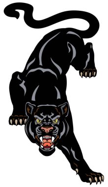 The roaring panther climbs down looking straight ahead. Aggressive black leopard. Front view. Tattoo style vector illustration