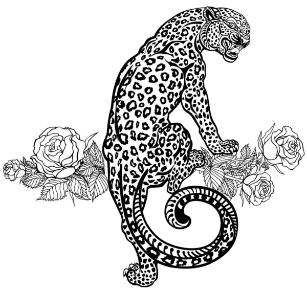 Leopardo Rugiente Subiendo Floreciendo Rosas Pantera Manchada Ira Estilo Tatuaje — Vector de stock