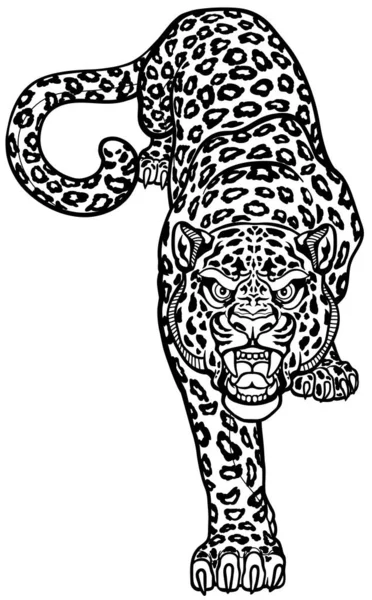 Leopard Merangkak Menguntit Merangkak Macan Tutul Creeping Kucing Besar Ilustrasi - Stok Vektor