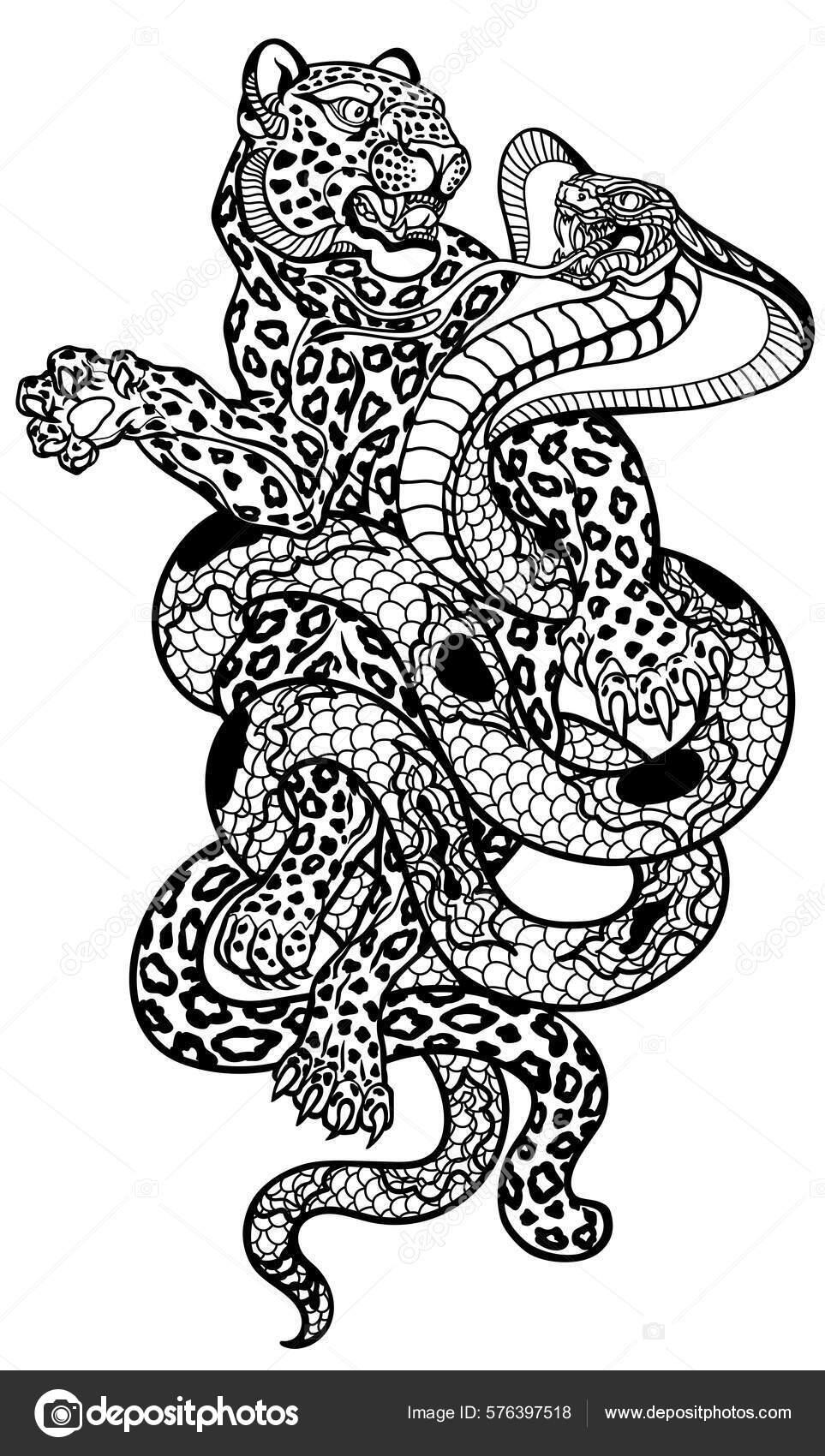 Image vectorielle Serpent Contre Léopard Combat Cobra Panthère Tachetée  Illustration Vectorielle Style par ©insima - 576397518, image size:963x1700