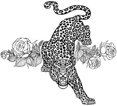 Kükreyen leopar aşağı iniyor ve dümdüz ileriye bakıyor. Saldırgan benekli panter ve çiçek açan kırmızı güller. Ön manzara. Dövme stili vektör illüstrasyonu. Siyah ve beyaz
