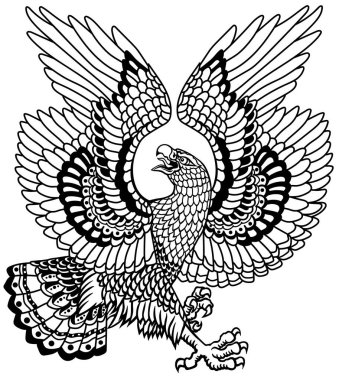 Traditional eagle tattoo. Landing down a bald white-headed bird with open wings and a head turned in profile. Black and white isolated vector illustration
