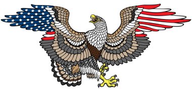White-headed bald eagle with wings of American flag colour. Traditional stylized tattoo style vector illustration