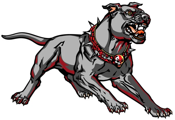 Attacking Dog Wearing Spiked Collar Skull Standing Aggressive Pose Showing — Vector de stock