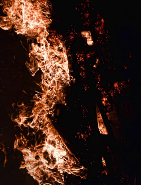 Крупним планом вогонь з деревини матеріал — стокове фото