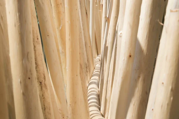 Sticks row of the fence — Stock Photo, Image