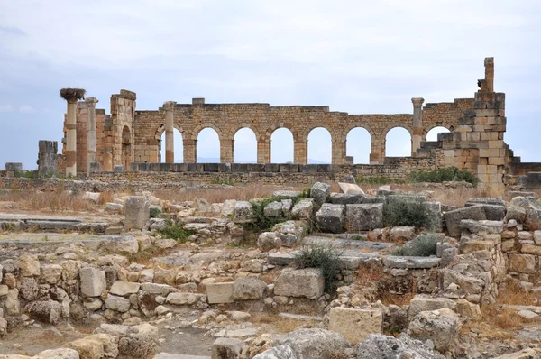 Volubilis — стокове фото