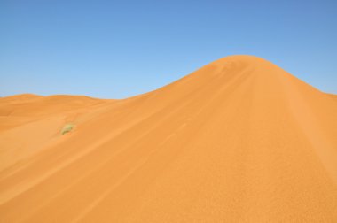 çöl dunes