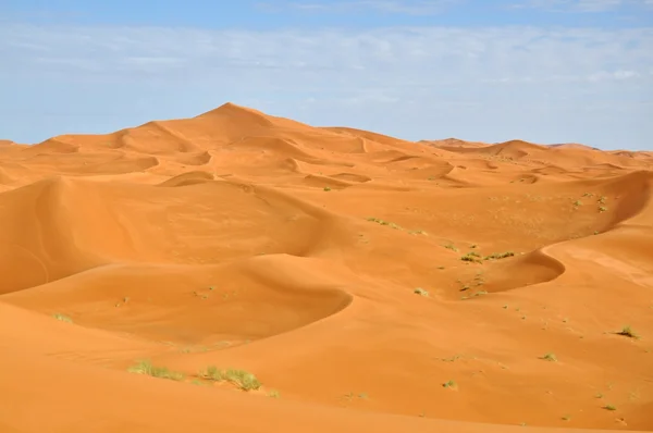 O Grande Deserto — Fotografia de Stock