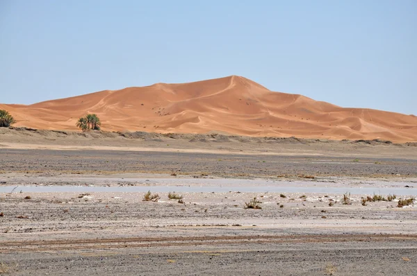 Frontiera del Sahara — Foto Stock