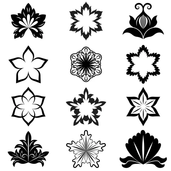 Ensemble vectoriel d'éléments de conception de fleurs noires et blanches . — Image vectorielle