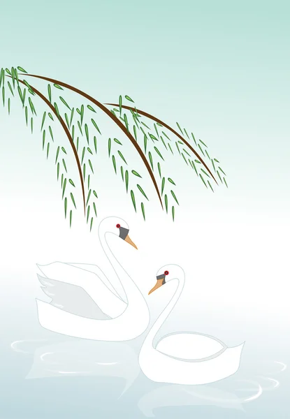 Deux cygnes flottant sur l'eau illustration . — Image vectorielle