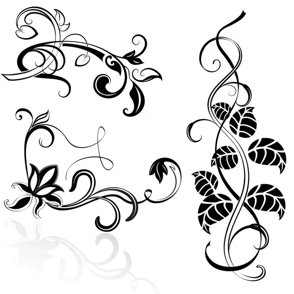 Black and white floral design elements. — Stock Vector