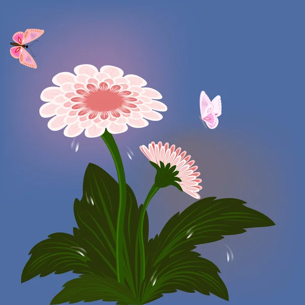 Zinnia flor con mariposas tarjeta vectorial . — Vector de stock