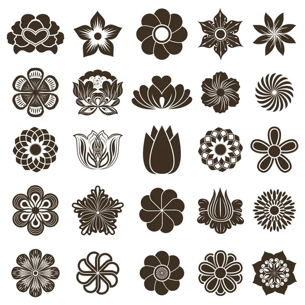 Vintage flor brotes vector diseño elementos aislados en blanco bac — Vector de stock