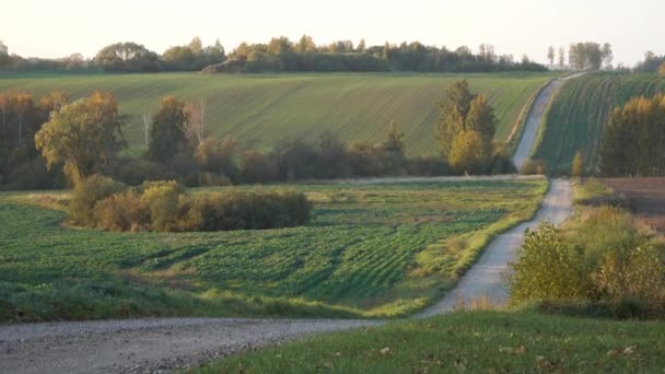 Идиллический Сельский Пейзаж Осенью Одинокой Проселочной Дорогой Холмистой Местности Вдалеке — стоковое видео