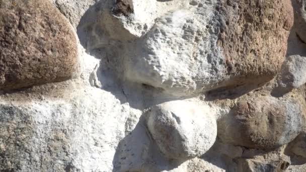 Contoh Efek Efloresensi Adalah Endapan Garam Pada Batu Bata Pandangan — Stok Video