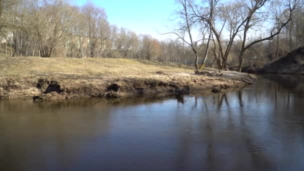 Ein Blick Auf Den Kleinen Fluss Zeitigen Frühling Wenn Die — Stockvideo
