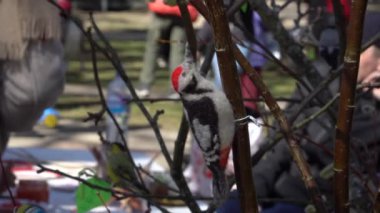 Spring nature festive motif - close-up of an artificial bird sitting on a tree branch. Shallow depth of field view with blurry people silhouettes moving in the background.
