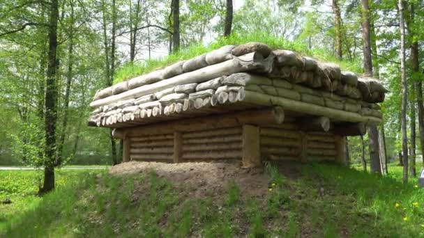 Edificio Dugout Partir Troncos Madera Construcción Arquitectura Entorno Arbolado Muestra — Vídeo de stock