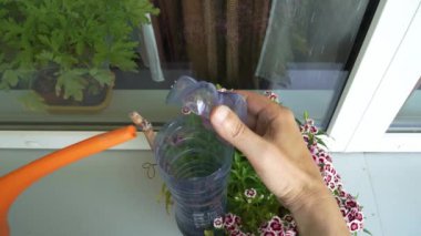 Man demonstrates the method of watering plants. A smart type to supply potted flowering house plants with water using a plastic PET bottle. There is a watering can in the human hand. 