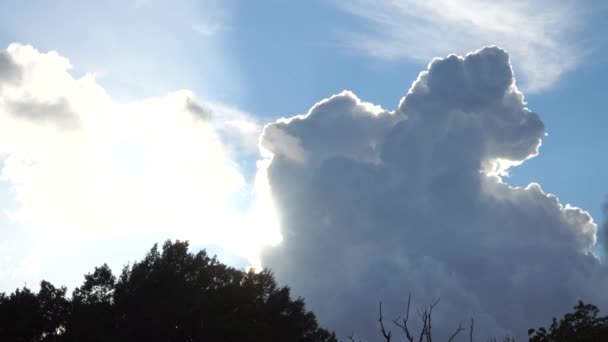 Clouds Low Angle View Sky Sunlit Edge Cumulus Cloud Bright — ストック動画