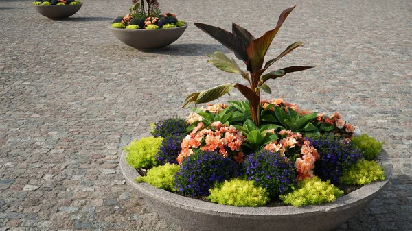Urban landscape design with flowerpots. Beautiful flower compositions are potted in big decorative pots and located in the town square on a cobblestone cover. Summer season city decor set.