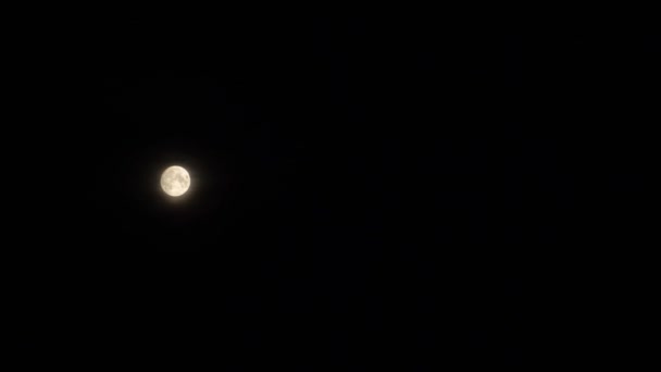 Strašidelný Měsíc Kouřovou Září Soumraku Měsíční Svit Pozadí Temné Oblohy — Stock video