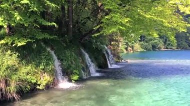 Plitvice Ulusal Göl Parkı 'ndaki göle düşen küçük şelaleler. 