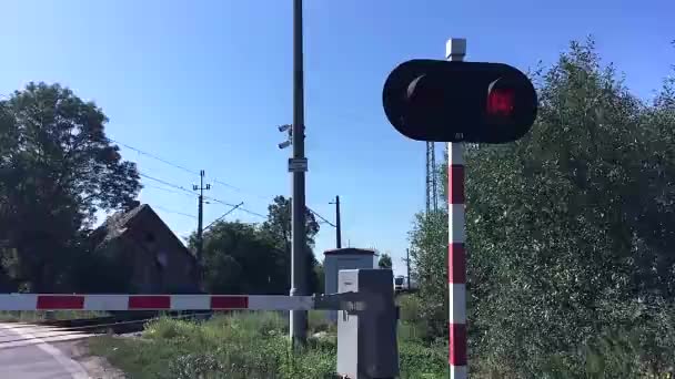 Sinyal Persimpangan Tingkat Kereta Api Peringatan Berkedip Lampu Merah Belakang — Stok Video