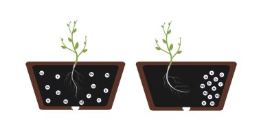 Chemotropism is defined as the growth of organisms navigated by chemical stimulus from outside of the organism. The root of the plant tends to the soil with fertilizers, nessesary for growth. 