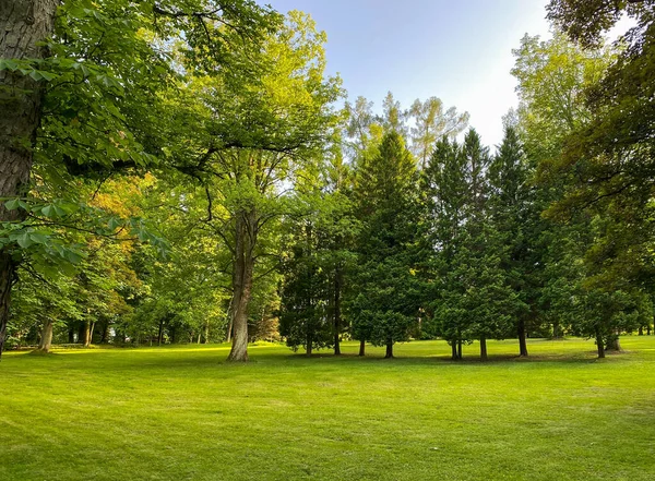 Summer landscape with green lawn, trees and blue sky.