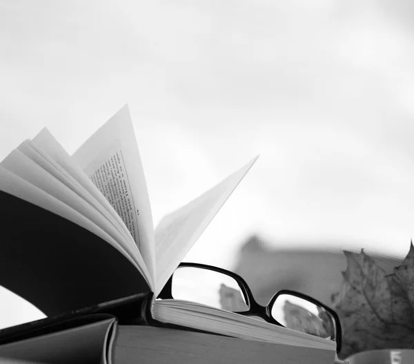 Libro de lectura — Foto de Stock