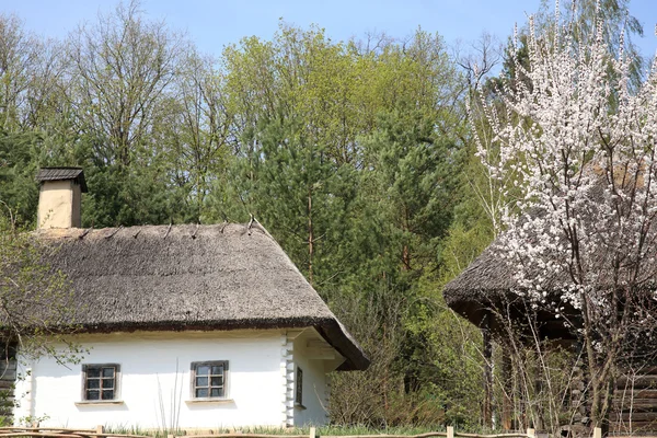 Ucraina, paese d'origine — Foto Stock