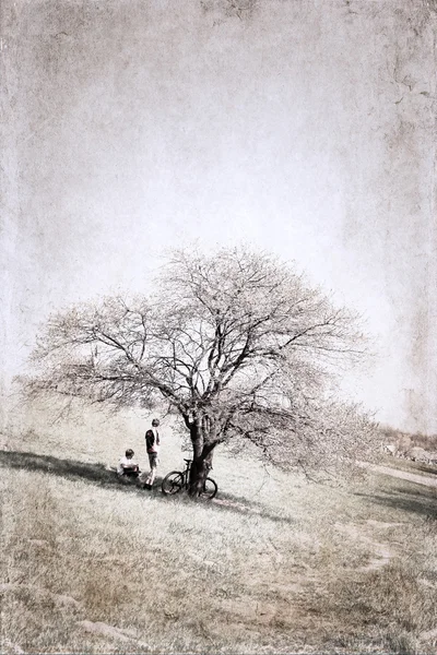 Afbeelding in grunge stijl, twee jongens met fietsen onder de boom — Stockfoto