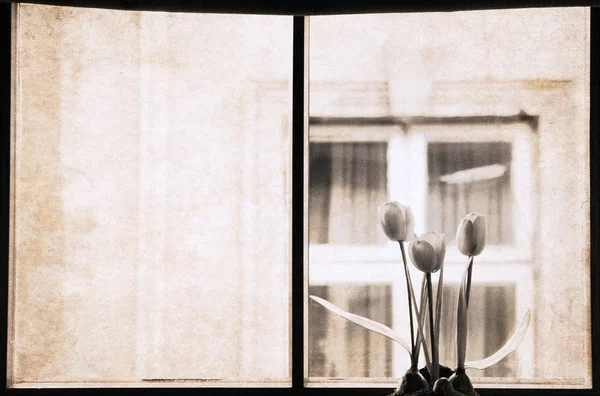 Arte em estilo retro, janela — Fotografia de Stock