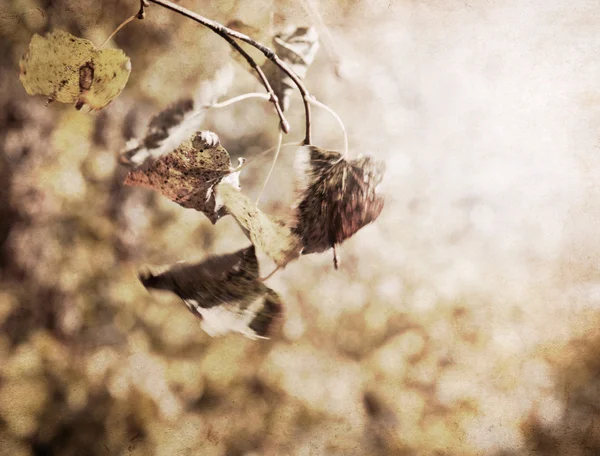 Oeuvre d'art en style peinture, feuilles jaunes en mouvement — Photo