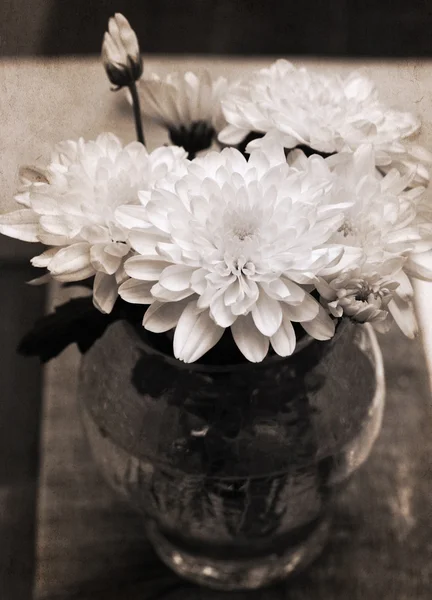 Artwork in retro style, chrysanthemum in the vase — Stock Photo, Image