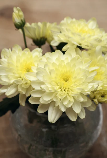 Gelbe Chrysantheme in der Vase — Stockfoto