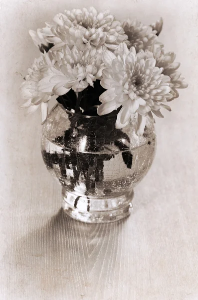 Artwork in retro style, chrysanthemum — Stock Photo, Image