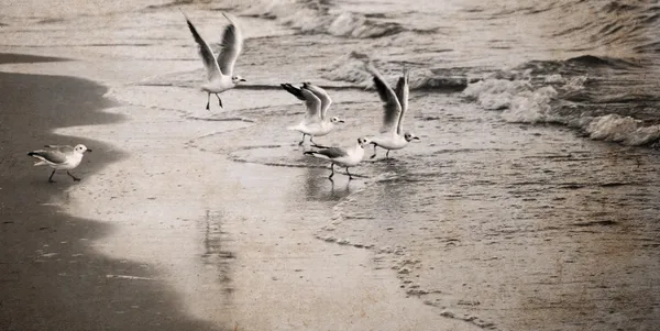 Kunstwerke im Retro-Stil, Meer — Stockfoto