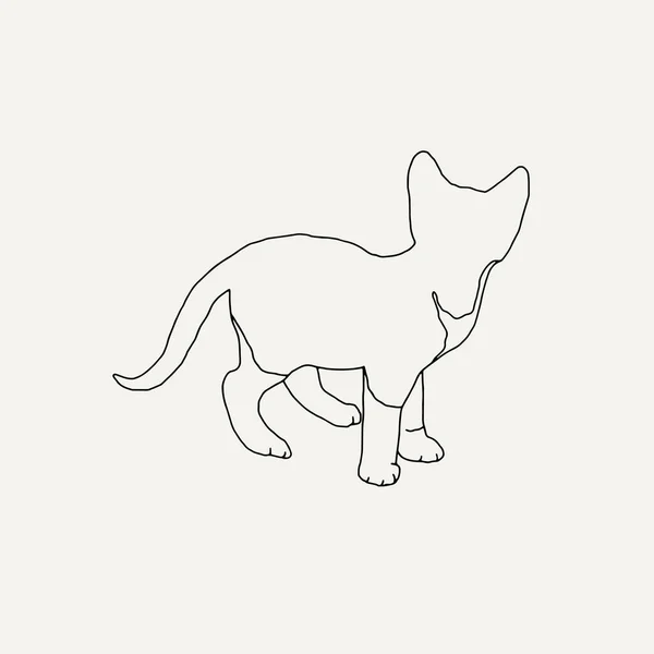 Kitten Vector Line Illustration — Stock Vector